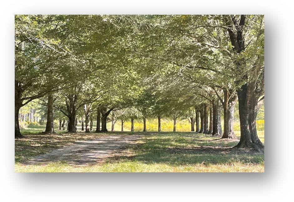 Terrain à Tallassee, Alabama, États-Unis 1 - 18689610