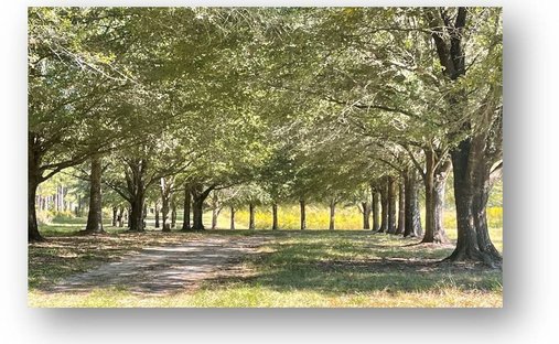 Terreno a Tallassee, Alabama, Stati Uniti 1