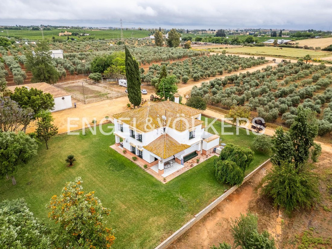 Finca in Mairena del Alcor, Andalusia, Spain 3 - 18379597