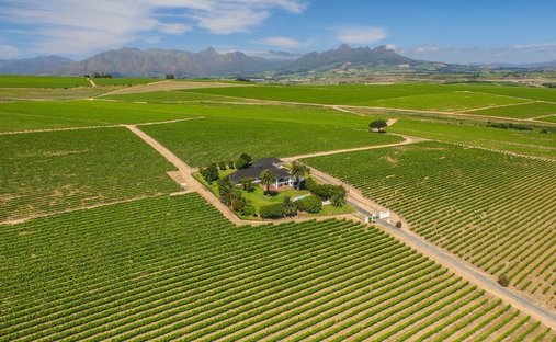 Azienda agricola in Municipalità locale di Stellenbosch, Provincia del Capo Occidentale, Sudafrica 1