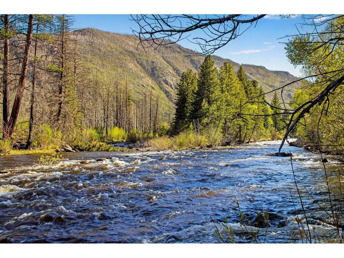 Bellvue, Colorado, United States 2 - 18687447