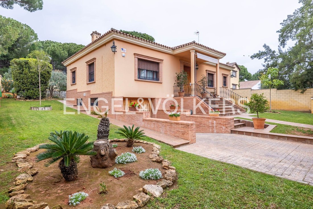 House in Alcala de Guadaira, Andalusia, Spain 1 - 17775029
