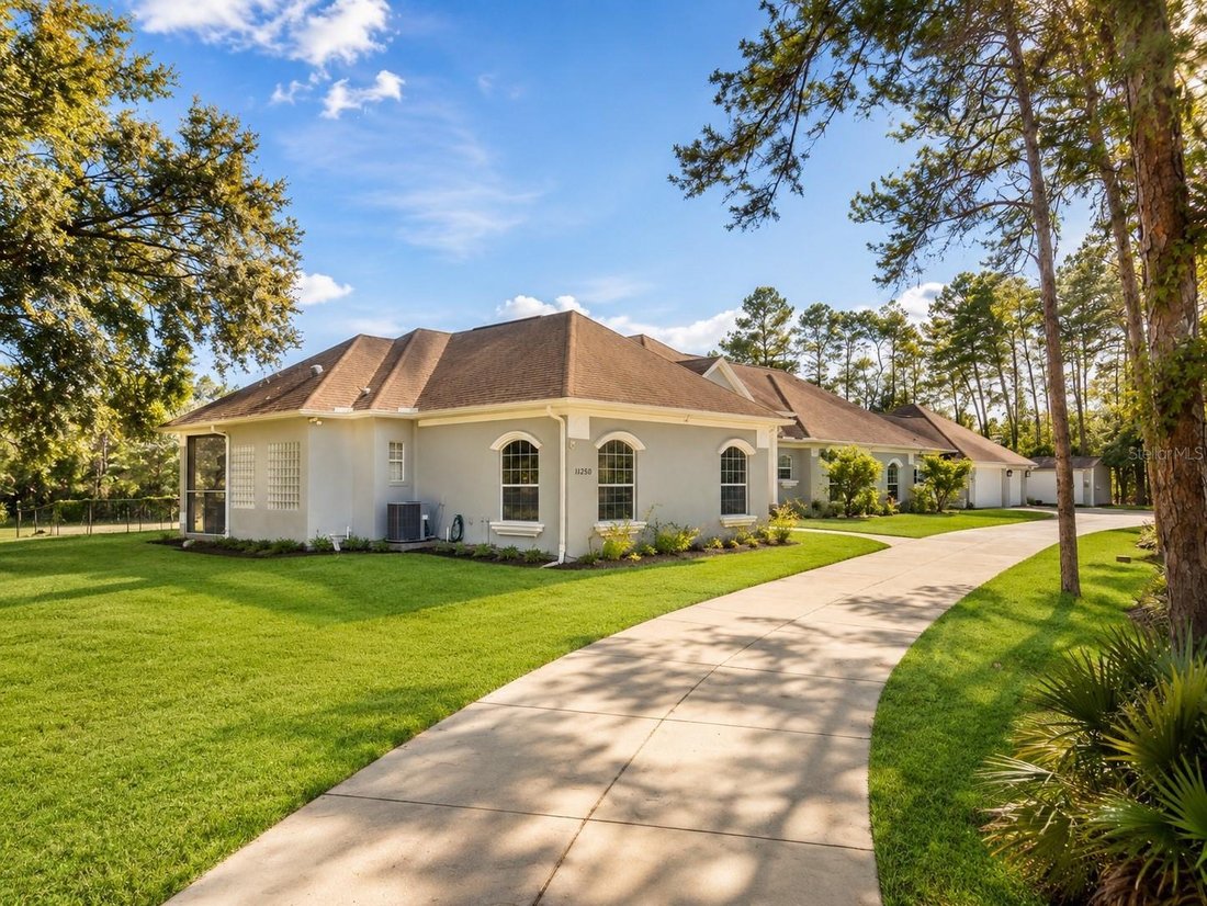 House in South Brooksville, Florida, United States 2 - 18689912