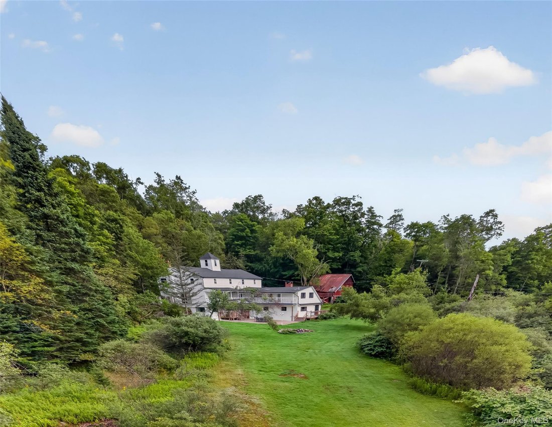 House in Livingston Manor, New York, United States 5 - 18358445