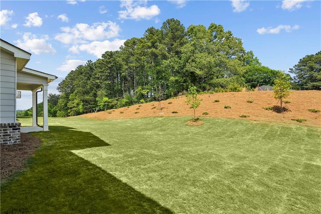 House in Buford, Georgia, United States 3 - 18690395