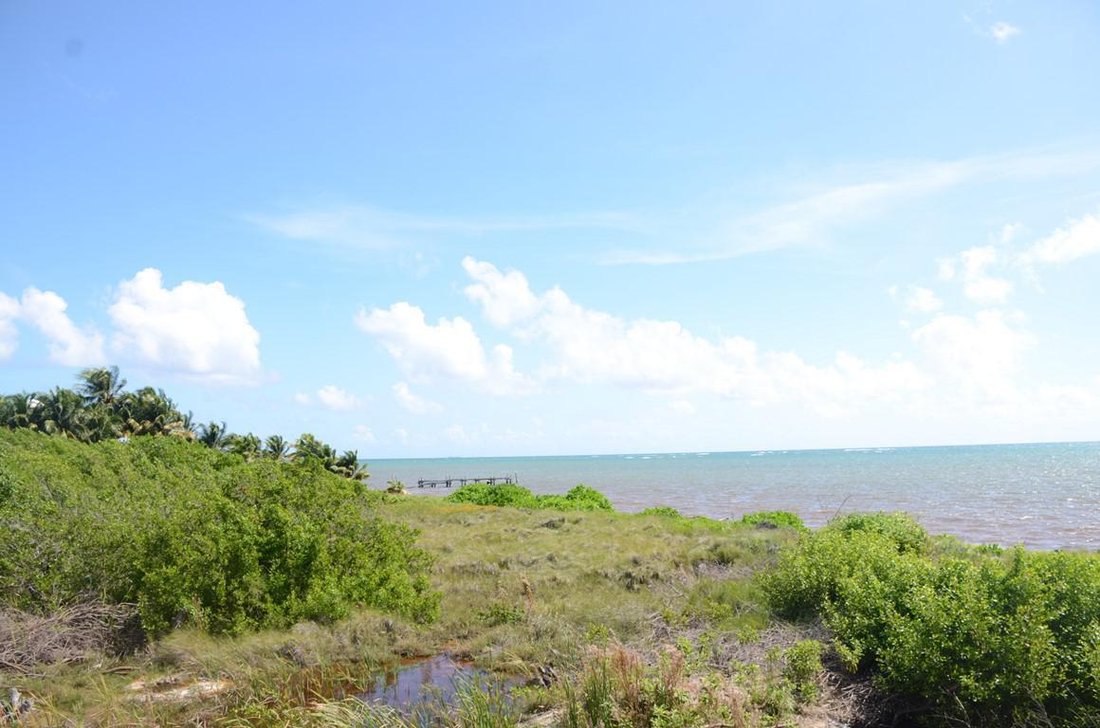 Land in Caracol, Quintana Roo, Mexico 5 - 18688649