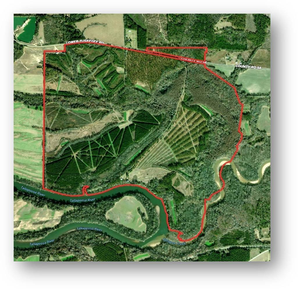 Terrain à Tallassee, Alabama, États-Unis 3 - 18689610