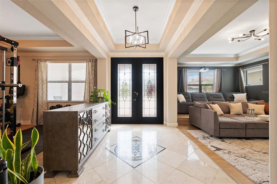 House in Palm Harbor, Florida, United States 5 - 18689844