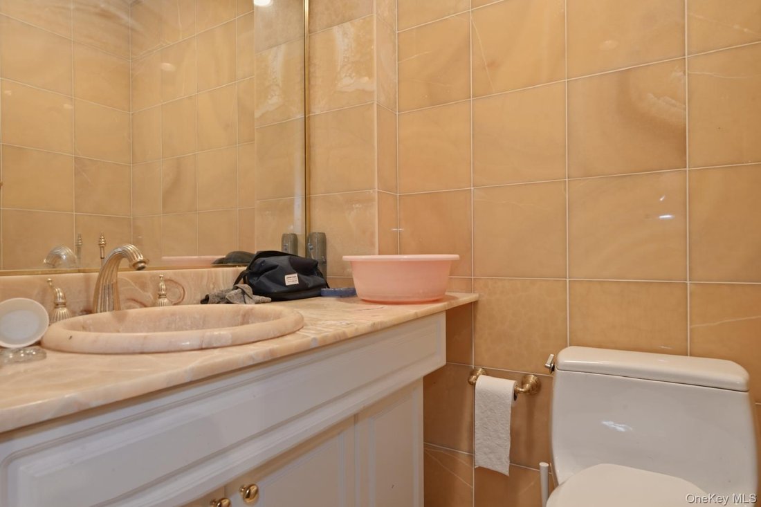 Condo in Great Neck, New York, United States 5 - 18394111