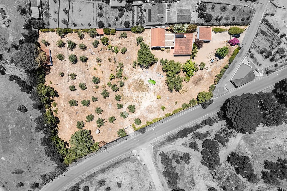 Farm Ranch in Mora, Évora District, Portugal 5 - 18691147