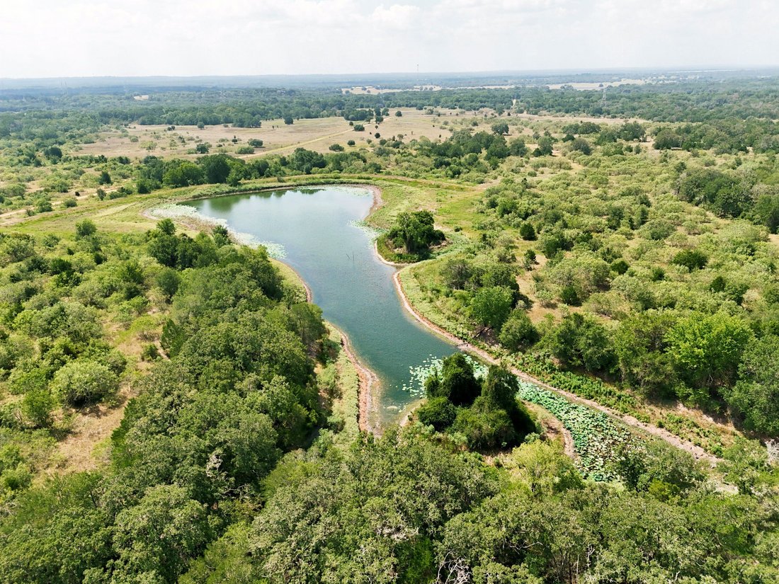 Farm Ranch in Muldoon, Texas, United States 1 - 16975745