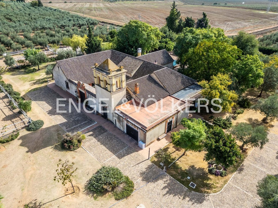 House in Bollullos de la Mitacion, Andalusia, Spain 1 - 16758035