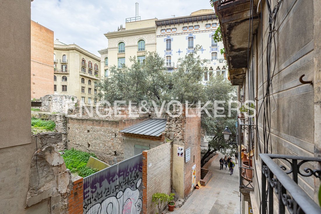 Apartment in Ciutat Vella, Barcelona, Spain 5 - 17255352