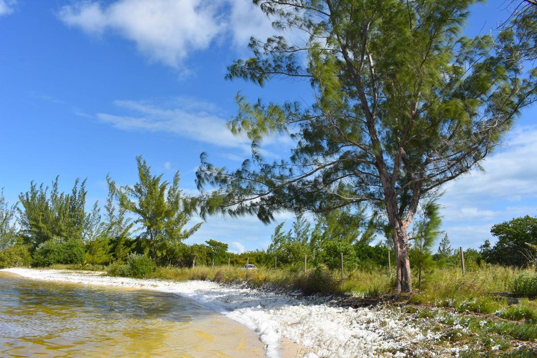 Land in Isla Blanca, Quintana Roo, Mexico 3 - 18688163