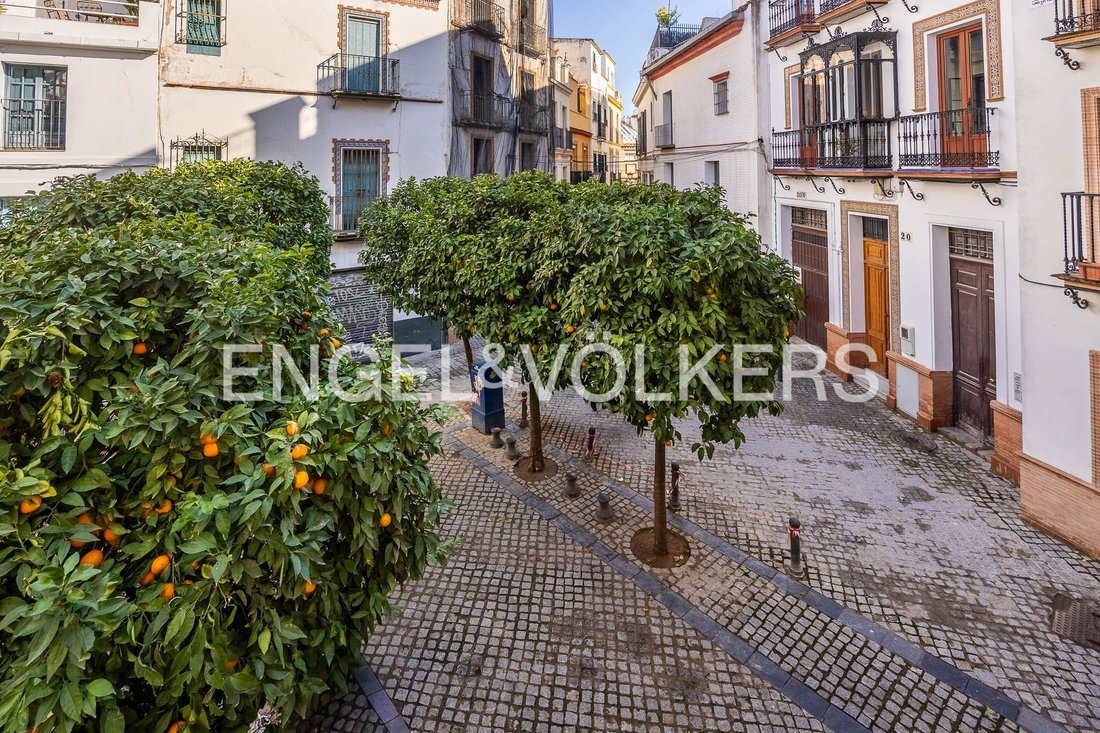 House in Casco Antiguo, Seville, Spain 5 - 16758018