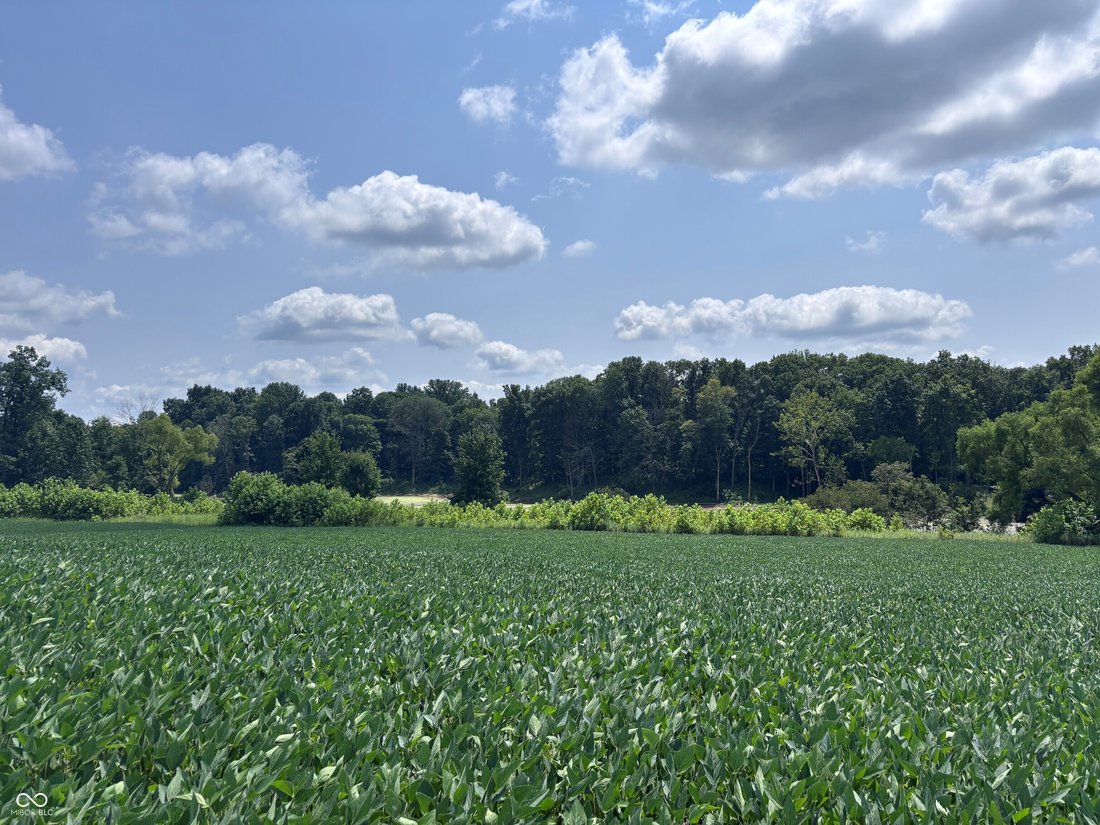 Land in Shelburn, Indiana, United States 1 - 18688338