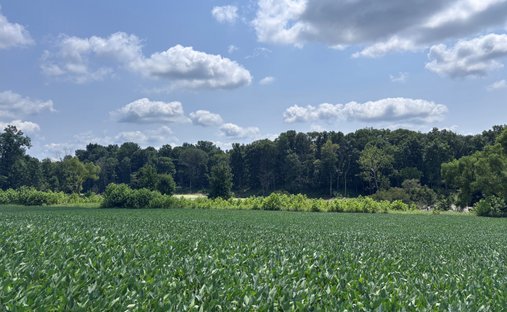 Land in Shelburn, Indiana, United States 1