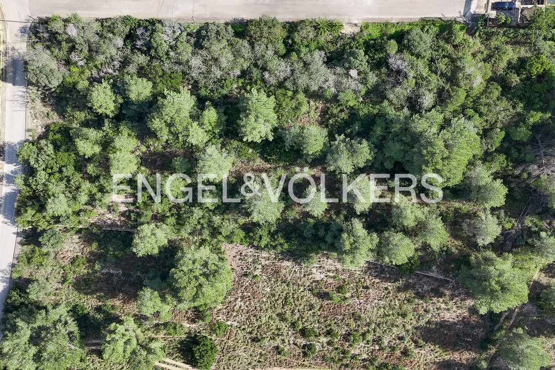Land in Xabia / Javea, Valencian Community, Spain 4 - 17814446