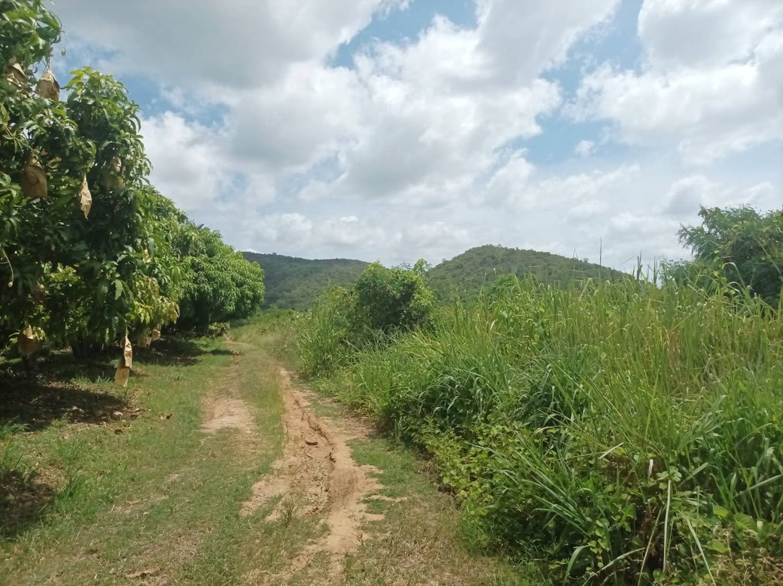Land in Nong Ta Taem, Tanintharyi Region, Thailand 1 - 18692007