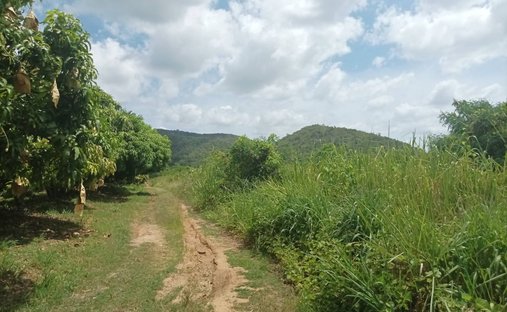 Land in Nong Ta Taem, Tanintharyi Region, Thailand 1