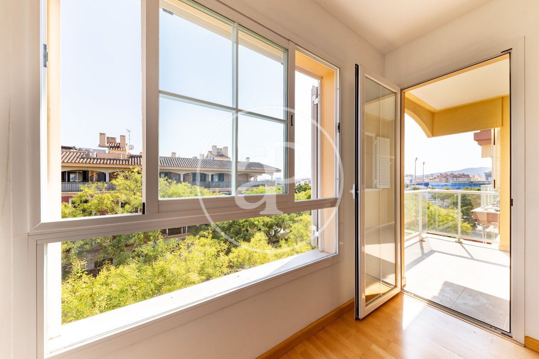 Apartment in Genoa, Palma, Balearic Islands 5 - 18693034