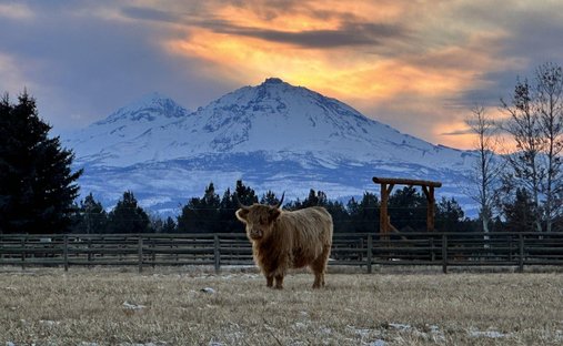 Casa a Sisters, Oregon, Stati Uniti 1