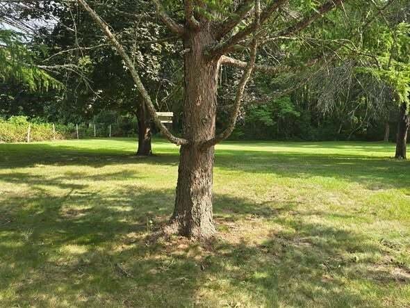 House in Westerly, Rhode Island, United States 3 - 18692130