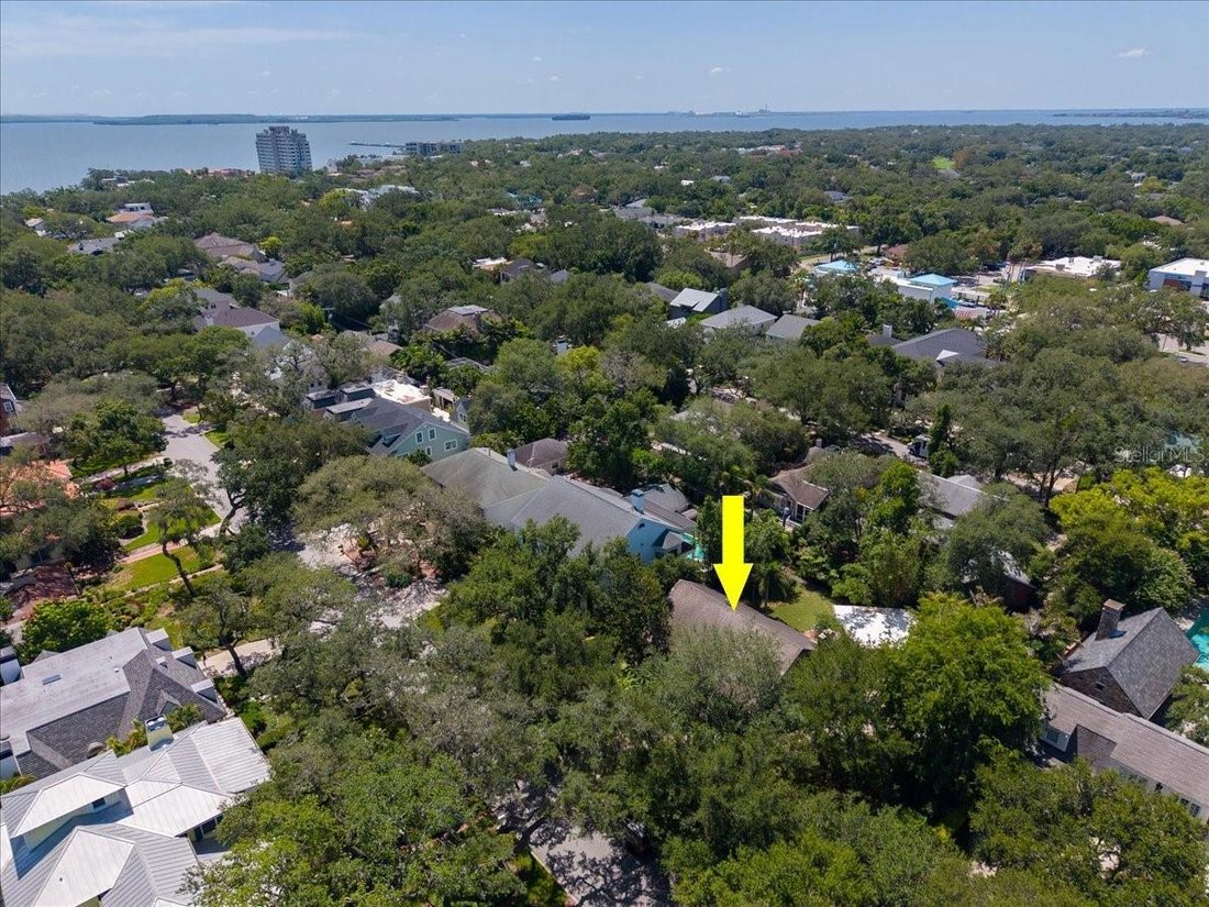 House in Tampa, Florida, United States 5 - 18692663
