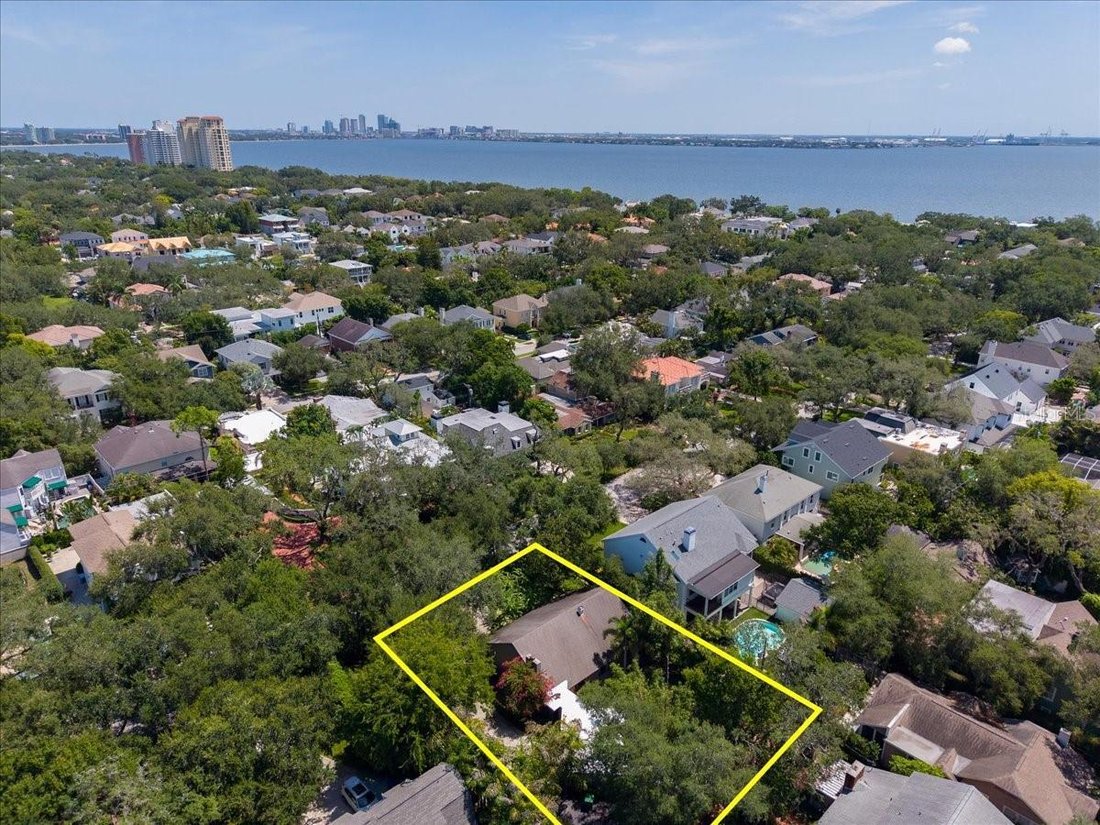 House in Tampa, Florida, United States 4 - 18692663