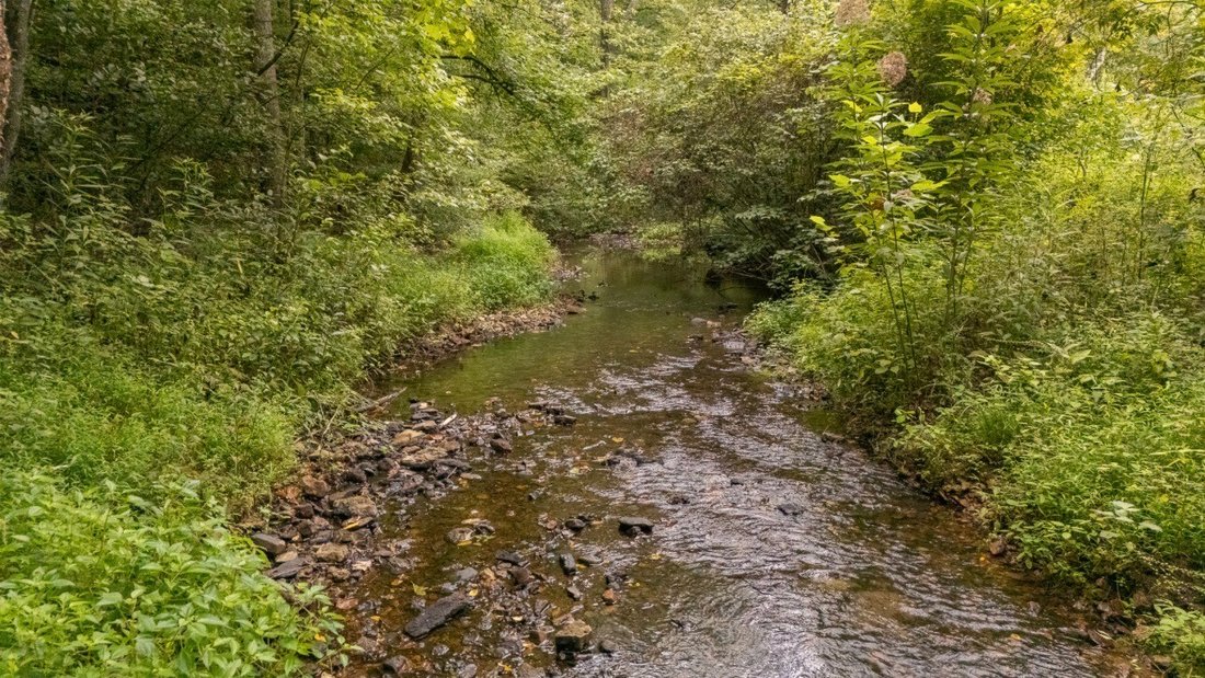 Farm Ranch in Lawrenceburg, Kentucky, United States 4 - 18692685