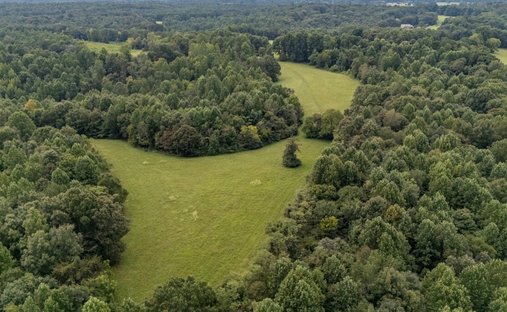 Farm Ranch in Lawrenceburg, Kentucky, United States 1