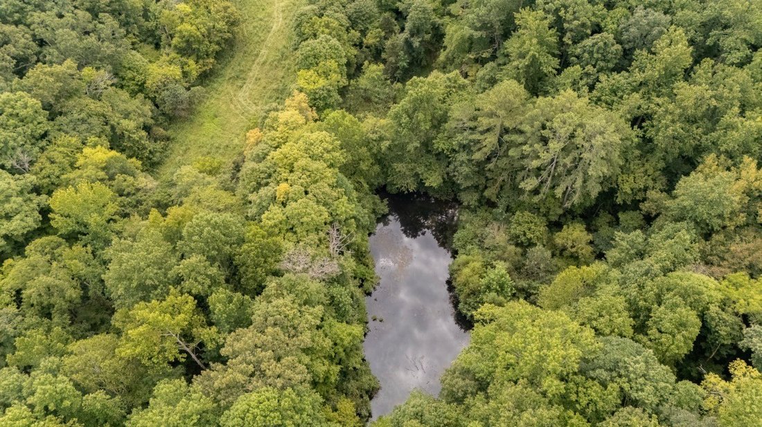 Farm Ranch in Lawrenceburg, Kentucky, United States 5 - 18692685