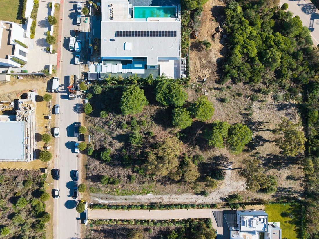 Land in Sotogrande, San Roque, Andalusia 4 - 18693069