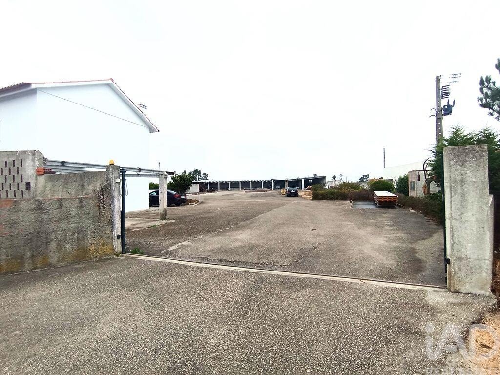Land in Marinha Grande, Leiria District, Portugal 4 - 18693321