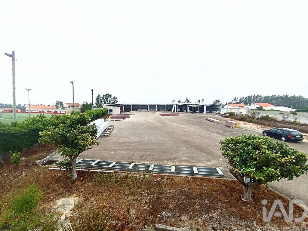 Land in Marinha Grande, Leiria District, Portugal 2 - 18693321