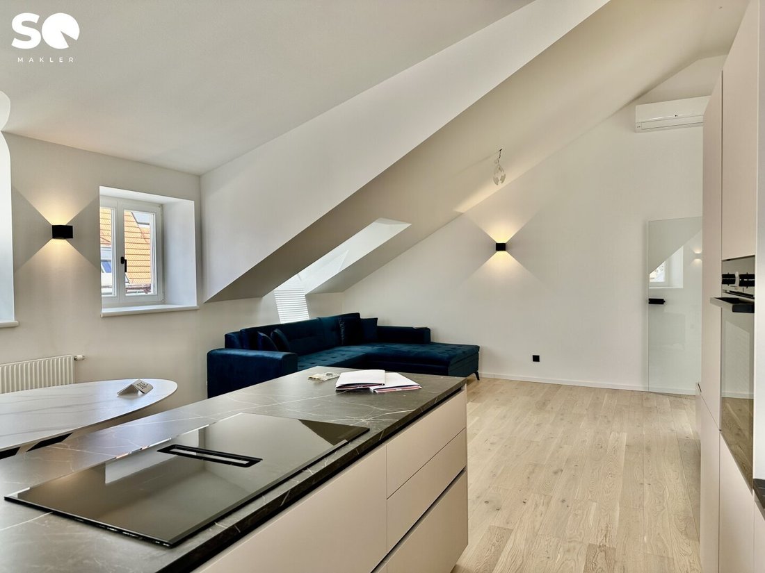 Penthouse in Vienna, Wien, Austria 4 - 18693566