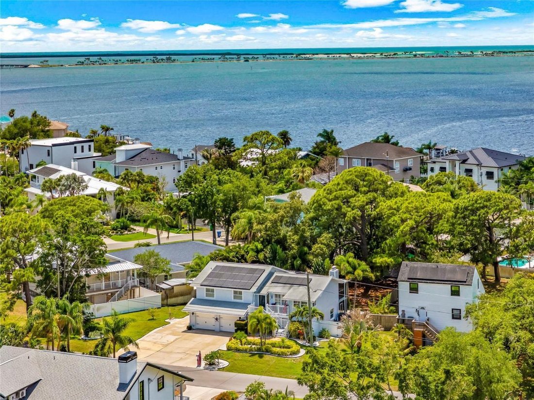 House in Palm Harbor, Florida, United States 1 - 18693296