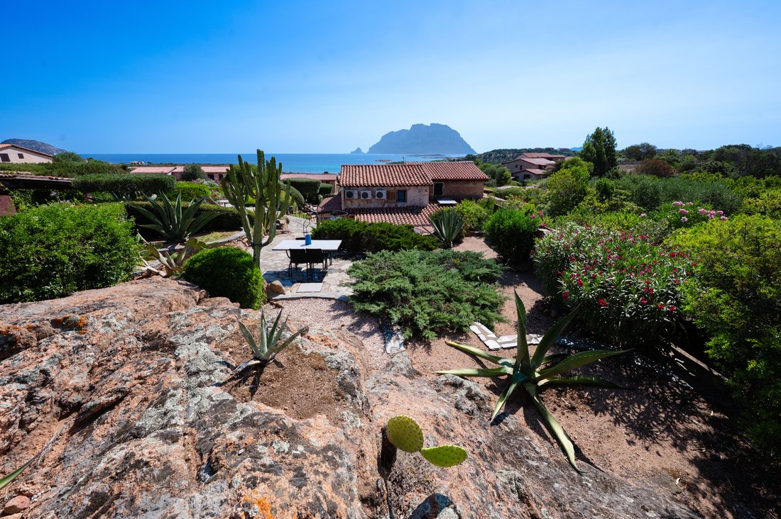 Villa en Murta Maria - Le Vecchie Saline - Porto Istana, Olbia, Cerdeña 1 - 18419364