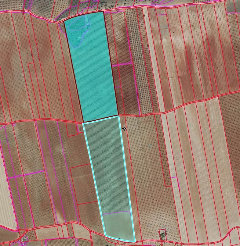 Farm Ranch in Valdepenas, Castile-La Mancha, Spain 1 - 18693853