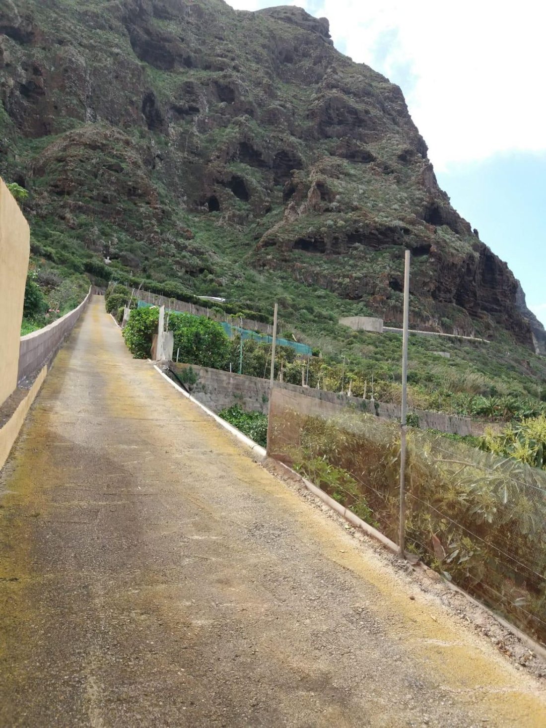 Farm Ranch in Buenavista del Norte, Canary Islands, Spain 5 - 18693861