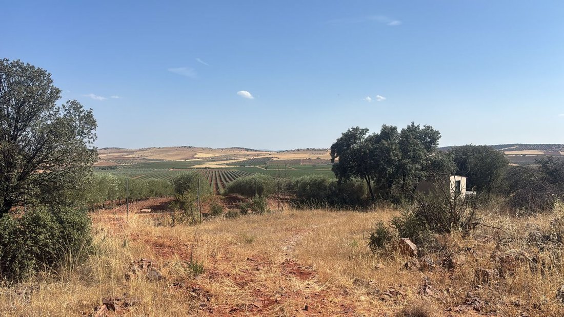Farm Ranch in Valdepenas, Castile-La Mancha, Spain 5 - 18693853