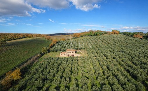 Casa de Campo en Magliano in Toscana, Toscana, Italia 1