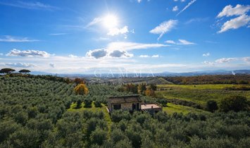 Casa de Campo en Magliano in Toscana, Toscana, Italia 2