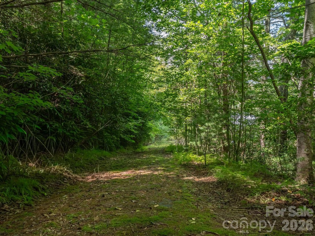 Land in Laurel Park, North Carolina, United States 2 - 18694114