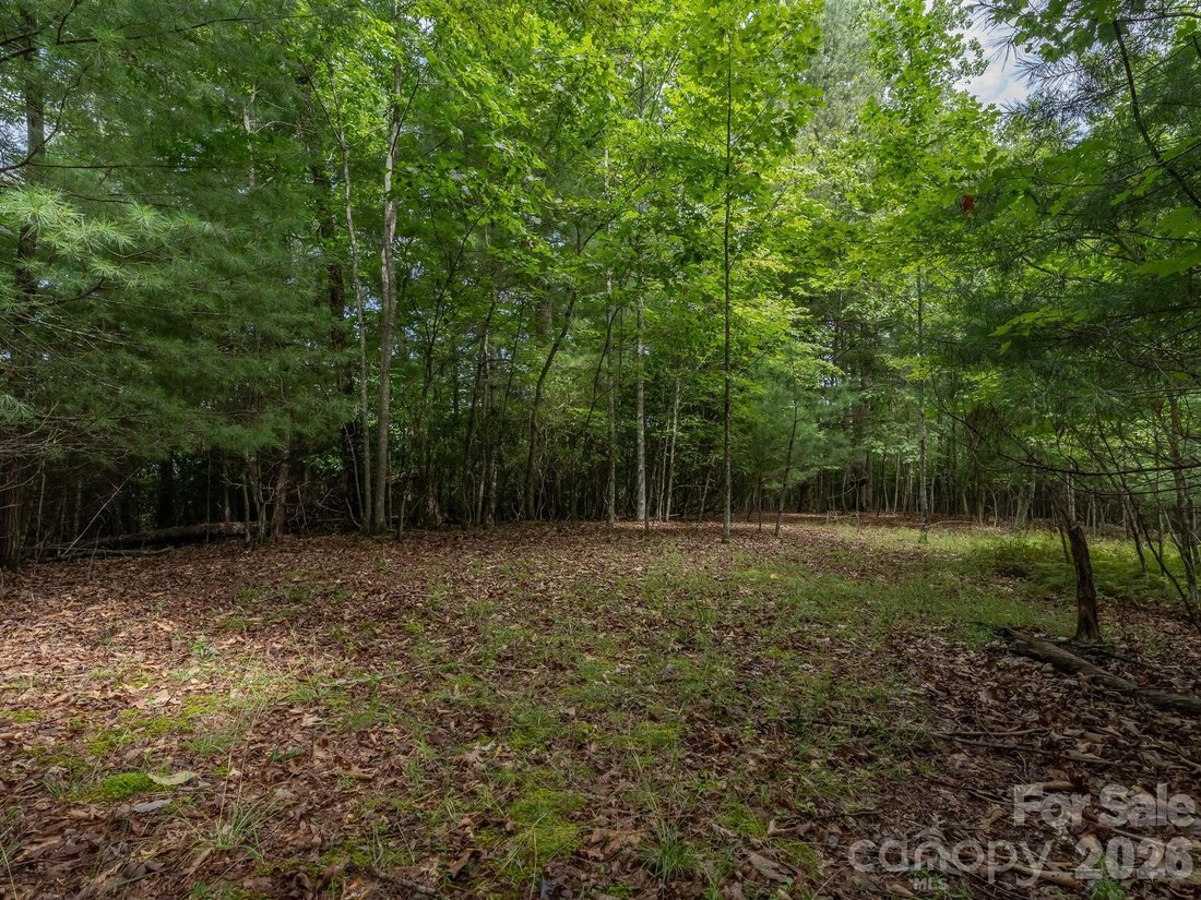 Land in Laurel Park, North Carolina, United States 3 - 18694114