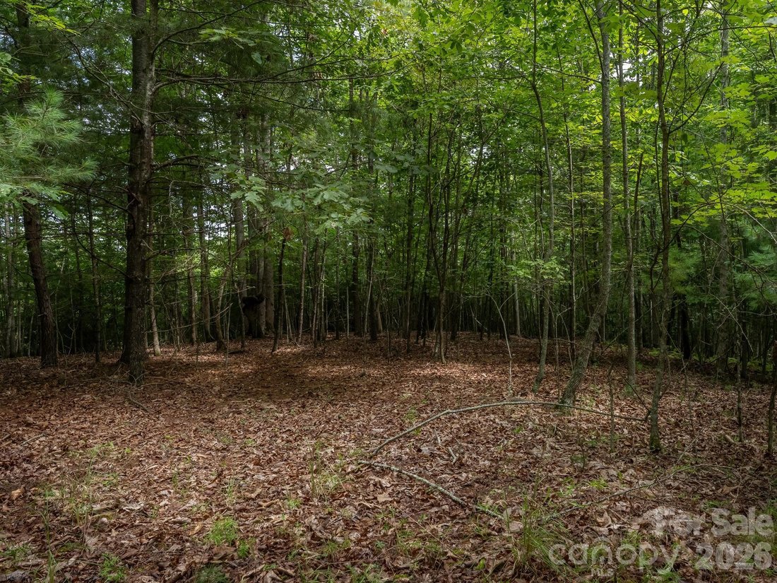 Land in Laurel Park, North Carolina, United States 4 - 18694114