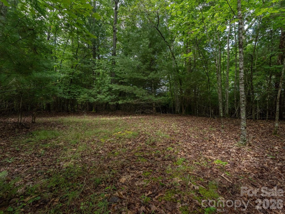 Land in Laurel Park, North Carolina, United States 5 - 18694114
