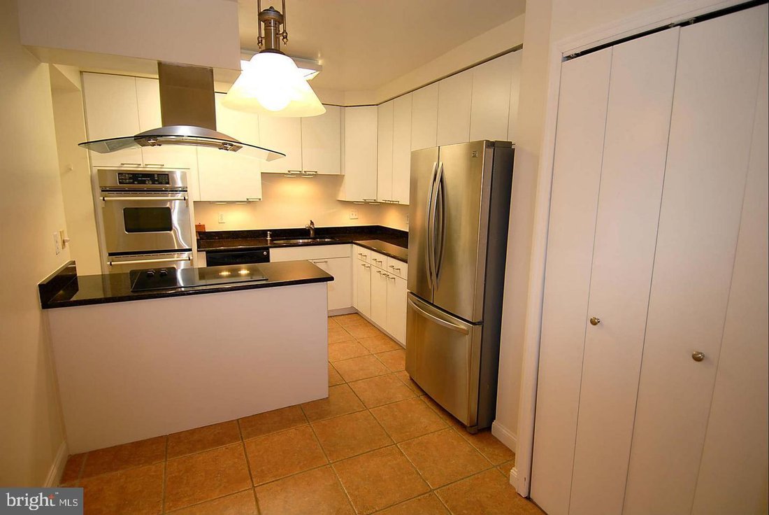 Condo in Alexandria, Virginia, United States 4 - 18694199