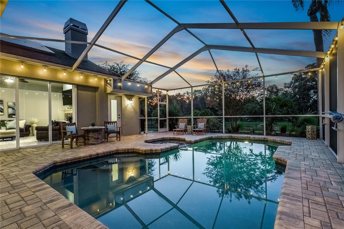 House in Tampa, Florida, United States 4 - 18694765