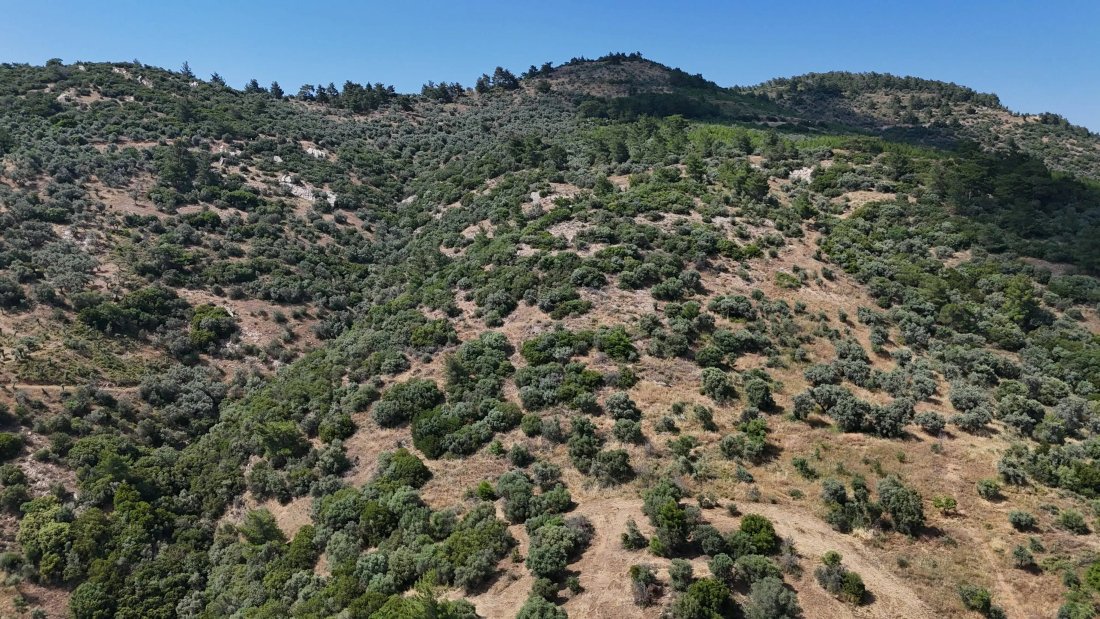 Land in İzmir, Bayındır, Turkey 5 - 18695246